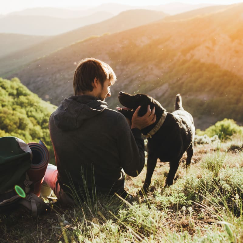 Herbs & Nutrition | Aerowood Animal Hospital