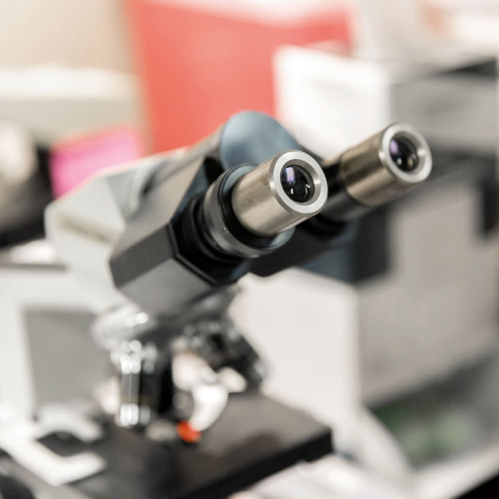 Microscope testing in a vet lab in Bellevue