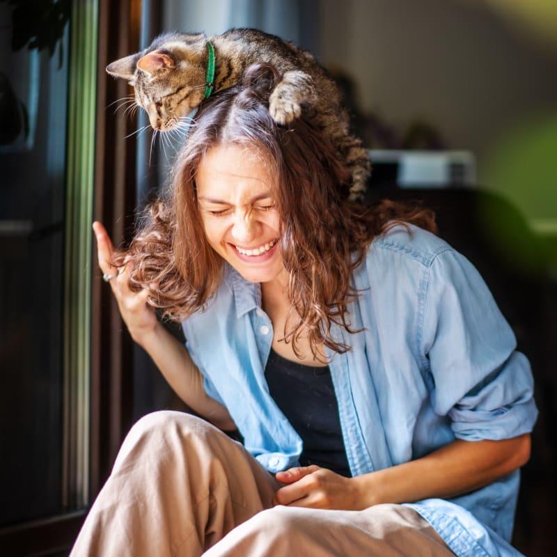 Second Opinions | Aerowood Animal Hospital